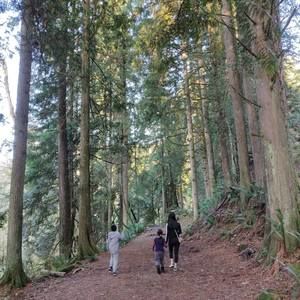 Meet your Posher, Isabella